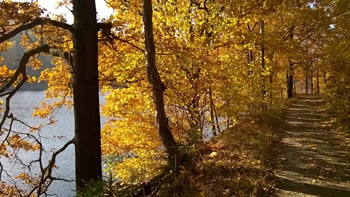 Klingenberg_Herbst_GuFi.jpg