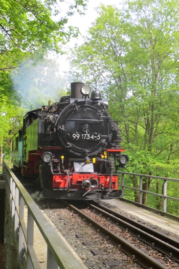 Weißeritztalbahn.jpg