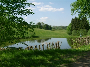 DSCI0151.JPG