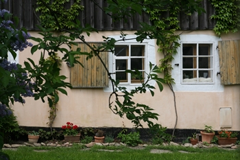 IMG_6669.JPG