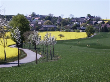 PICT0014.JPG